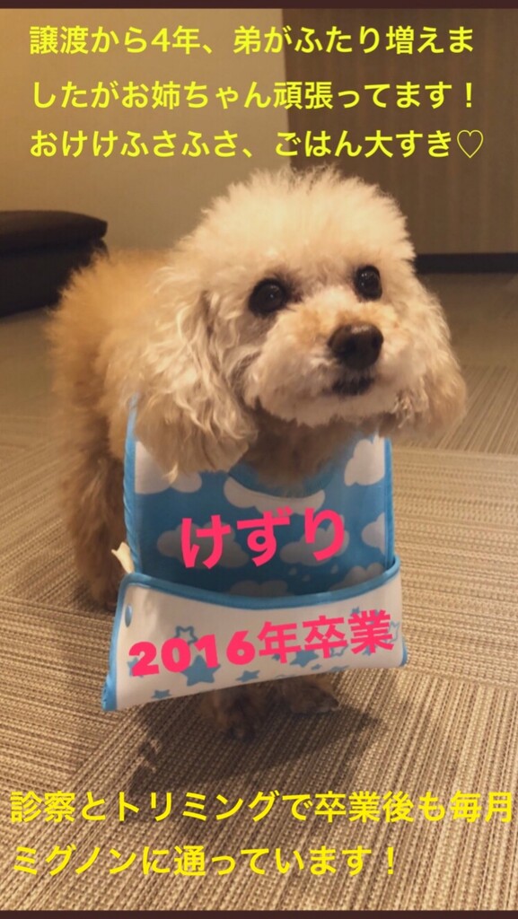 A83894F3-77F1-43CF-829E-7DC089364246