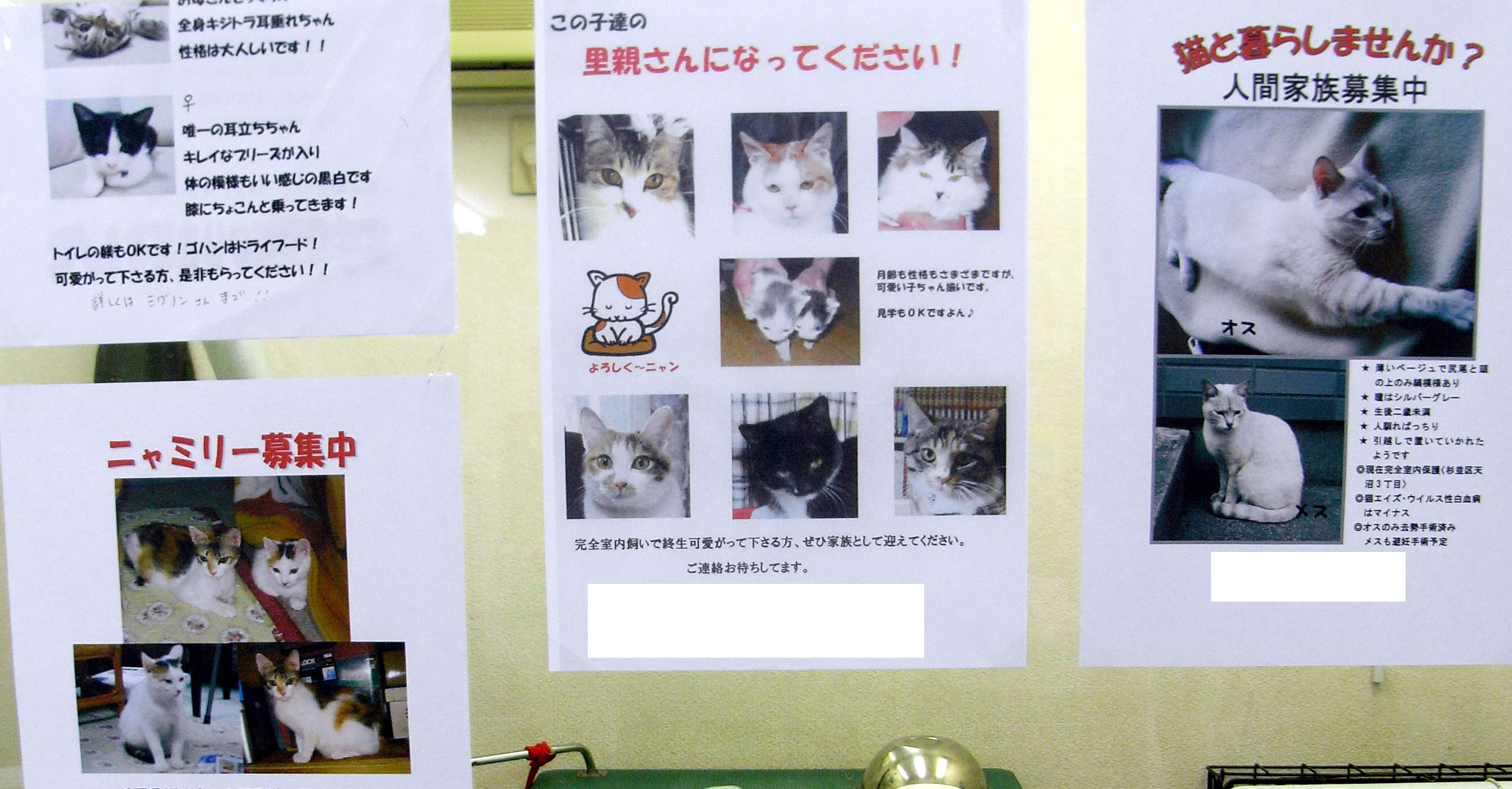 ２５日が日曜って Pet Salon Mignon Diary