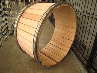 wheel