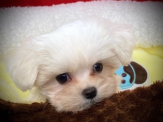 05D26F4D-8AEA-41DA-9C3E-0DCBCB1B09E2