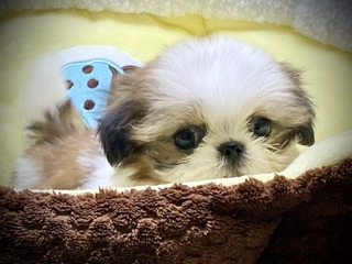 AD5DE86E-2B6C-431C-8598-E11D3EAA77F4