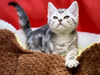 3ECCC0CB-26B2-4724-8C5E-F1800CAC7BDF