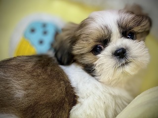 8B2D8992-C6A3-464E-8517-BF6A32CCCB3E