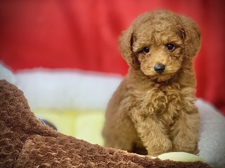 B7E32A19-785C-4BD0-9F28-3D4E6A3208C1