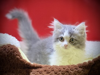 4BBC5708-9654-4634-8A94-649661DAFB48