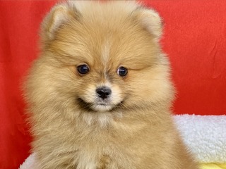 31F78043-2C9A-4BA0-A61D-D317E3BC0F6C