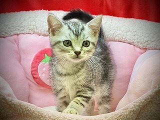 55E28779-6EE9-4525-92FB-E18D67A29181