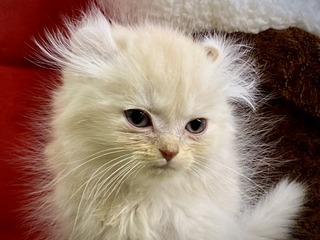 00DC190B-B13C-4D27-8BEF-F4144C97B741