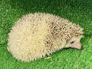 43F9D32F-8E47-4AB3-A0FA-B0A329D1D3A9