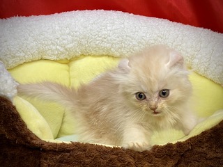 6D06E30E-AC07-4234-987C-19F8896BE863