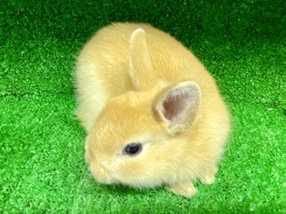 A810123E-6F6D-47B6-A1DE-1AEB137DF92E