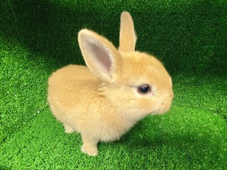 3876E137-4760-44C0-BD94-FD8532F235BB