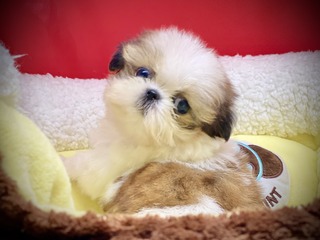 61B6E1C6-911B-4591-9C1F-93E3E19782A1