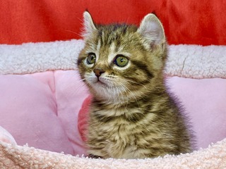 20685433-8798-4152-9208-81BC106D9789