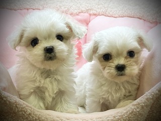 79679702-3514-42A0-9820-0CECB02B01FA