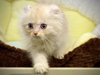 9FEF5ECB-DD03-44BD-A108-A4442BD8D4E5