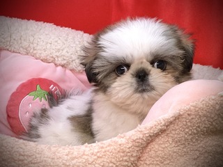 D6655C61-8DD0-4EBC-94A1-BE9B023089D6