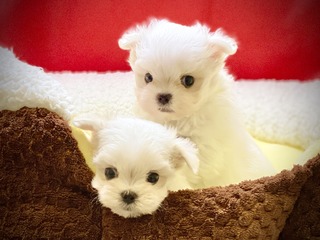 0E2E57D9-18B8-43E4-A74B-72B3AD3CE35D