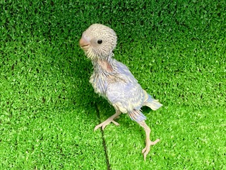 8A042EEC-2025-4FDA-8DE7-F53C56B229D9