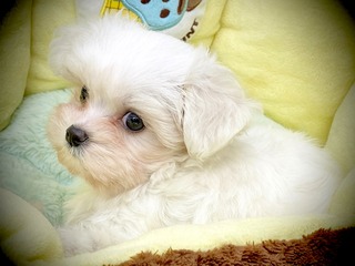 582B22A4-EFD9-48E9-AA2F-A5111F6DBF16