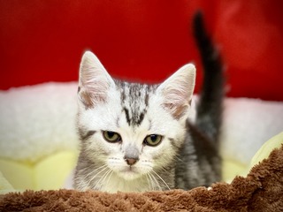 2EEE404E-9CA7-4A53-B314-8D79099AFE1E