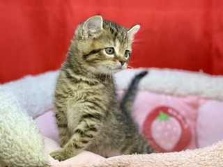 4330C2E1-F4AC-4D33-AB4C-5EFC14993D79