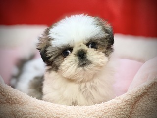 E4E0D15A-B474-4A37-BDE5-8FE7D0D3A5F2