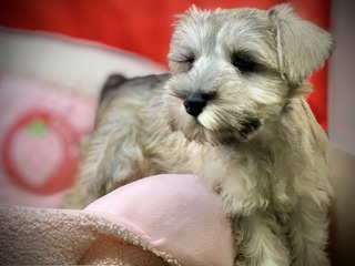 798D6B8D-C74F-4469-B1F7-70D9A3EE3BCC