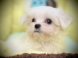 F6E142D5-7834-44A8-9BC4-ED8CA2EFD7A9