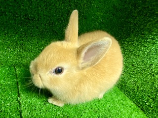 91F6F20F-75F0-4790-A58D-811EB60DA56C