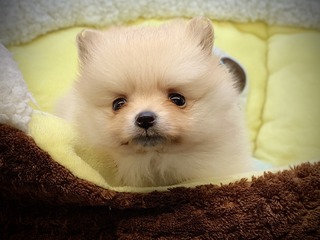 B68D66F1-6FFF-4C8C-8AE8-F792AA0A07A1