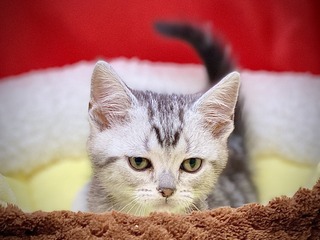 A8AD3ABB-5080-402F-A6E7-FE0E61063E3E