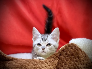 2FA6A6C4-AD41-44A6-A695-81B6131029C7