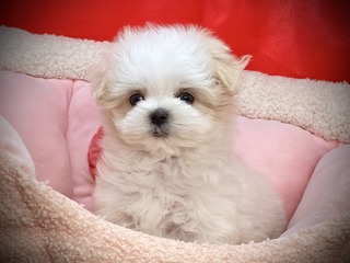 59FA2598-4266-41C4-8C75-0429C2F675C0