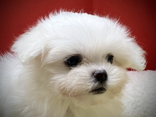 FACE2980-23ED-430B-89ED-0C55BC504725