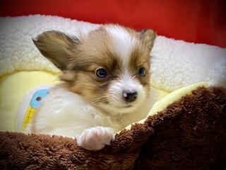 5D45D932-9577-4C70-BDA4-C7DEB8BE5037