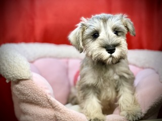 853B2F2E-52B1-4E7B-AF94-F1E2A7126815