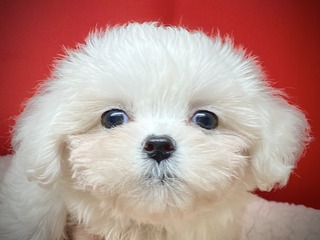 7790A0F8-F58B-4F34-B981-EC8495A4D904