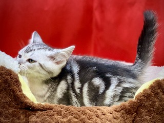 FDCDDF72-40FB-4EBD-9D6A-D200BDED7188