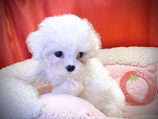 723B6BB0-275D-4A23-B077-7EB5757CF050