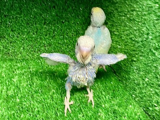 5ACF2858-B841-46F1-994D-36FAC89BC9A1