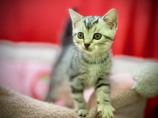 CA18BEEB-E805-4B31-BCEA-EB386ACEBC5B