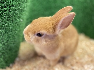 5AAC6CA3-230B-4998-B6A4-4BB936527546