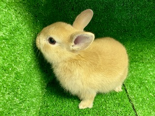 B23DA1C1-3C58-43D9-B802-1082A0CE7A32