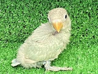 F01BA6CB-6162-428D-BB2B-86BFF5C4B7FA