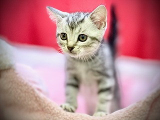 90A94A1D-014E-4247-BF4F-FDA482C58AC5