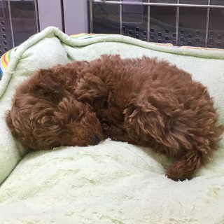 6d1cc84f.jpg
