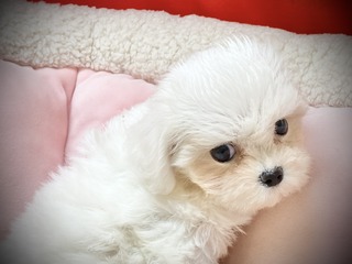 EB5E0C57-7301-45D9-9FE7-9EDAAEAF6566