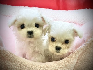 D507D2C5-AB35-408B-A940-3CE609E32C78