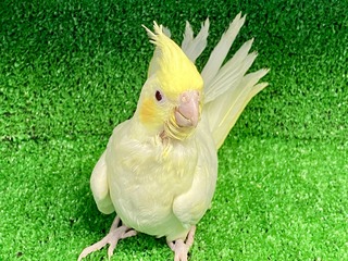 2887D03E-97C7-4D14-AF3C-D1F9D4D0160C